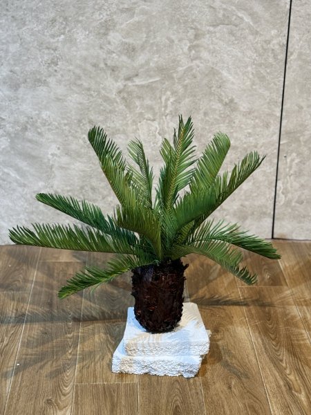 الوفيرا QF114